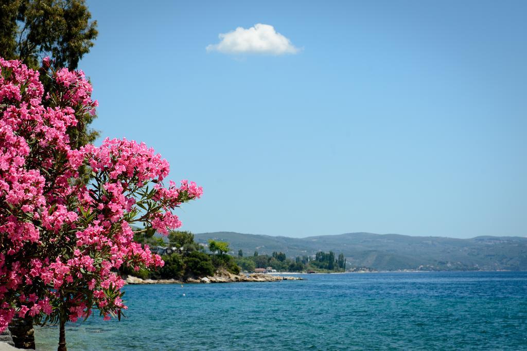 Gatzea Villas Kato Gatzea Bagian luar foto